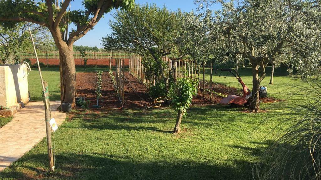 Appartment Hacienda Monica Umag Kültér fotó
